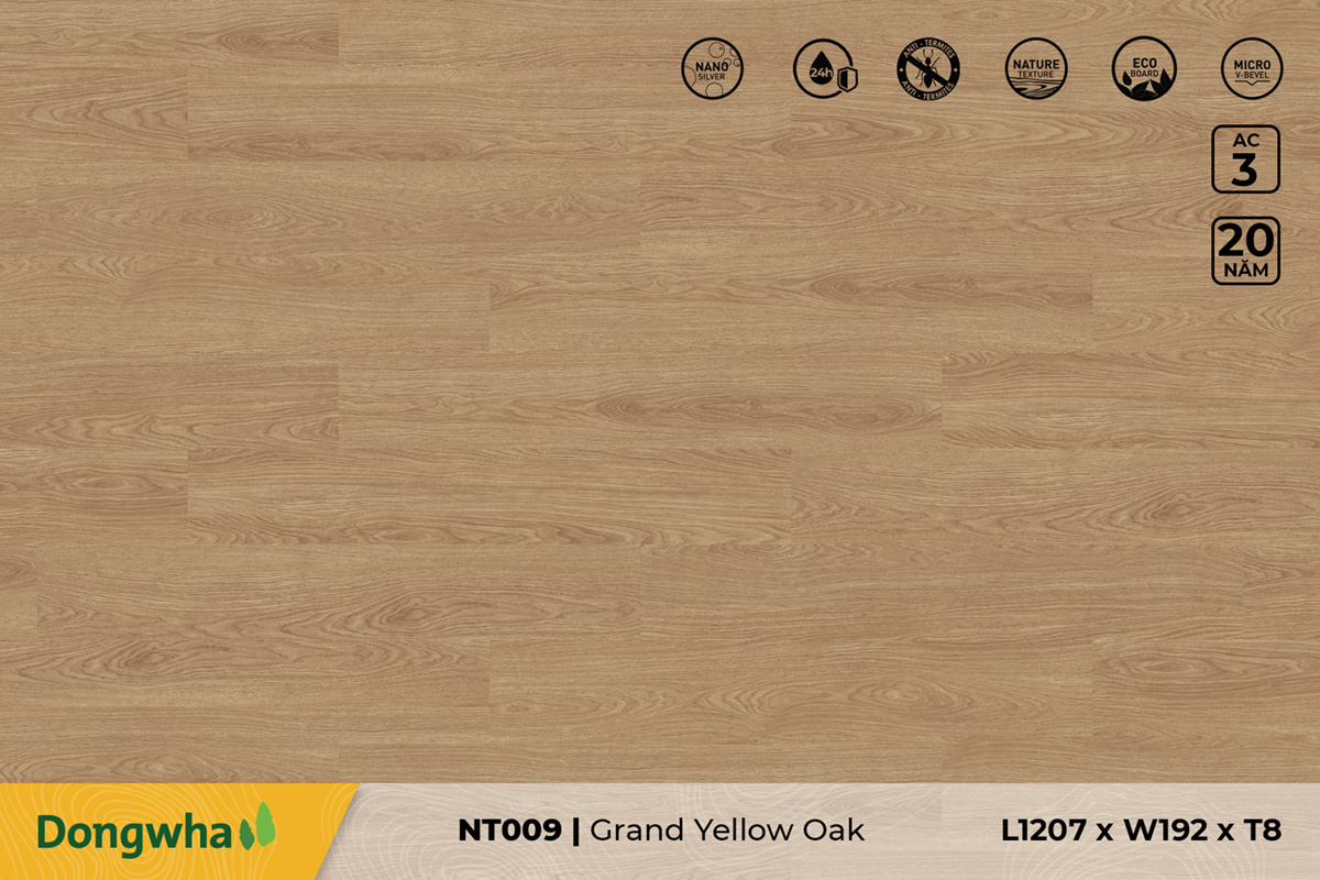 Sàn gỗ NT009 Grand Yellow Oak – 8mm – AC3