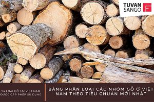 phân loại các nhóm gỗ ở Việt Nam